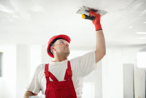 Best Fire-Damaged Drywall Repair  in Altadena, CA